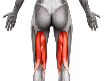네이버 나무위키 햄스트링 위치 통증 관련 사진 입니다.