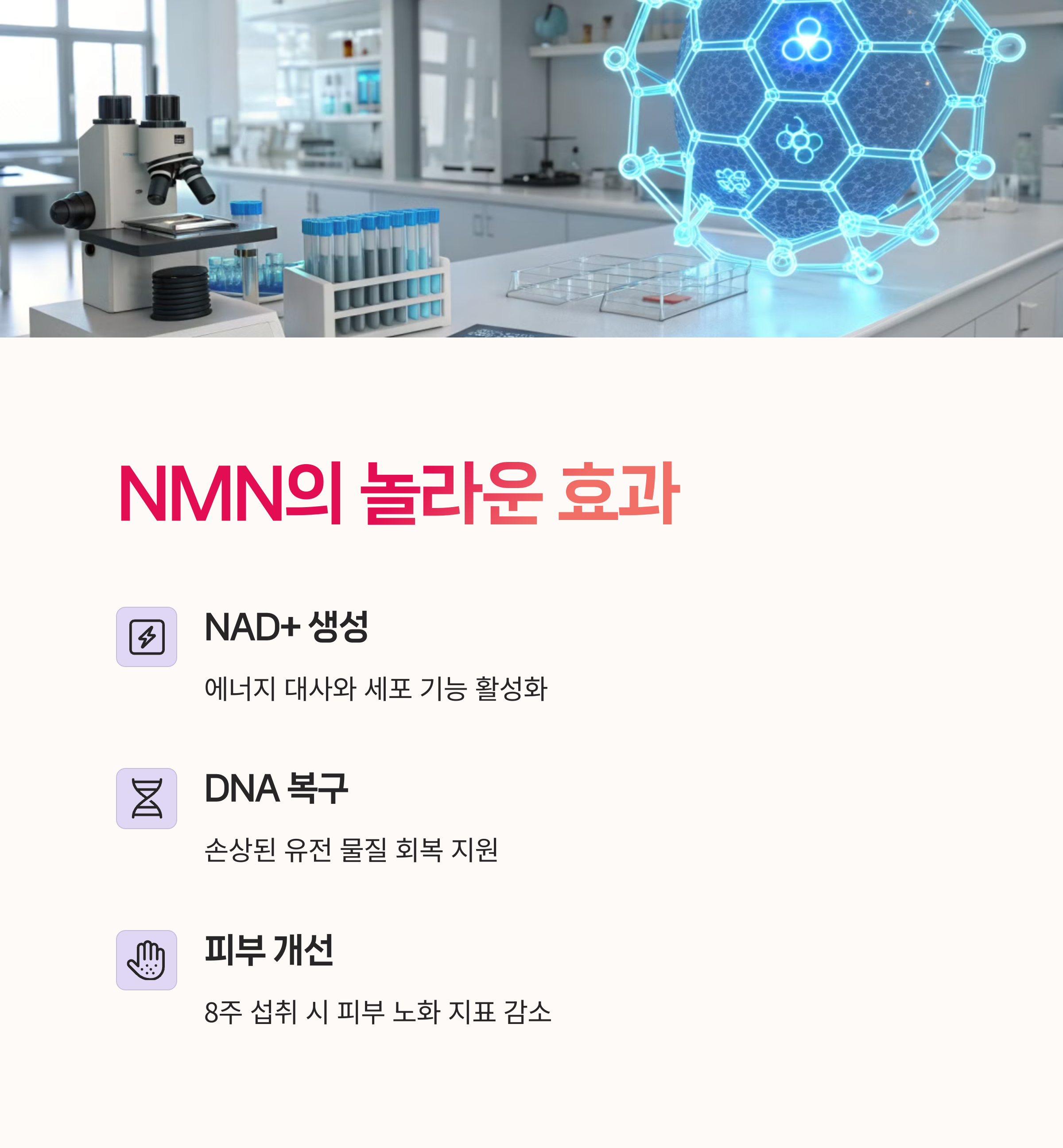 시르투인, 피부노화,