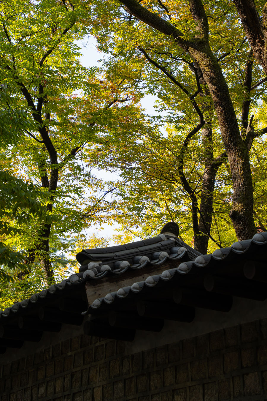 덕수궁 돌담길