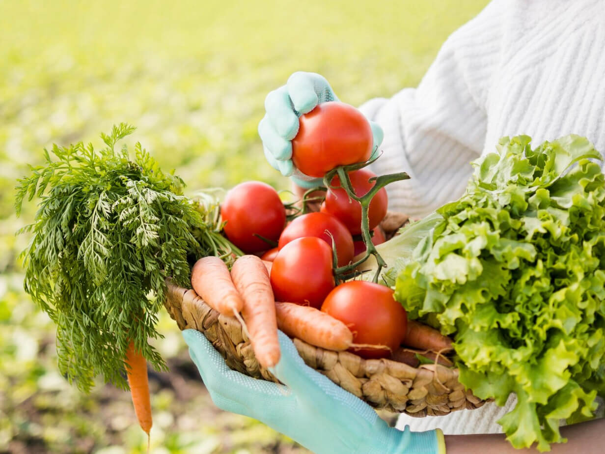 농산물 무료 지원