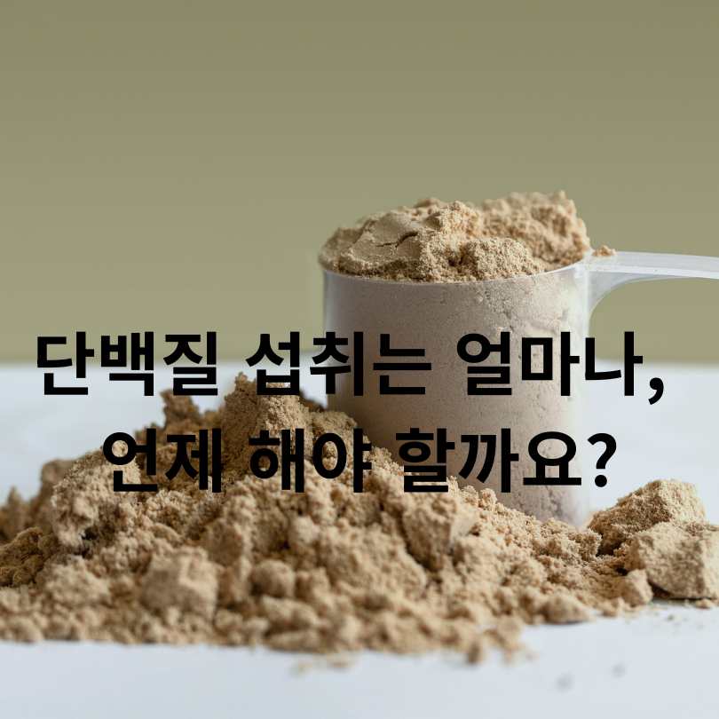 60대 단백질 보충제 추천! 