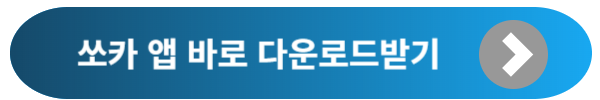 쏘카 패스포트