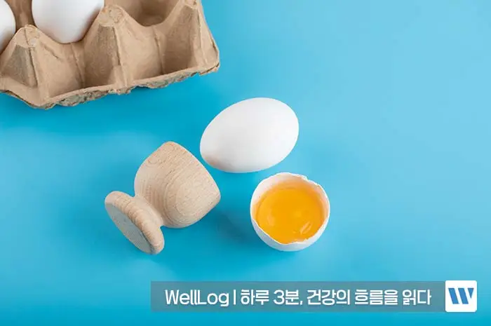 난각막가수분해물 복용법, 복용시간, 복용량, 주의사항