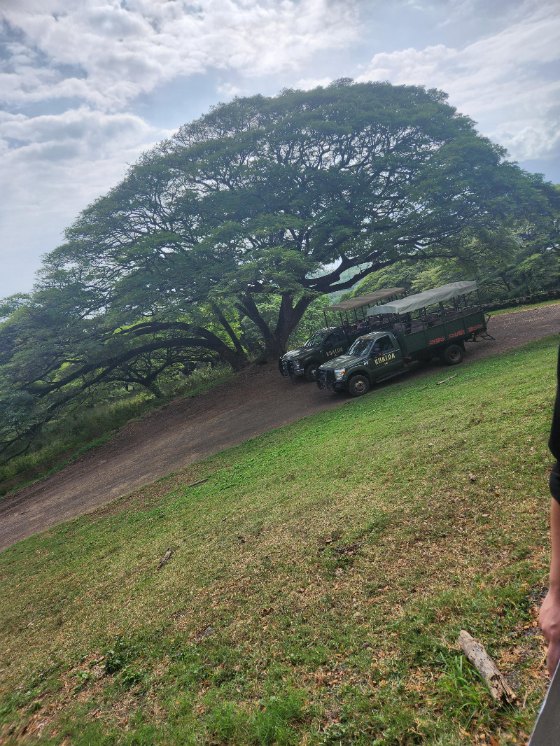 하와이 쿠알로아 랜치 익스피리언스 패키지 정글투어