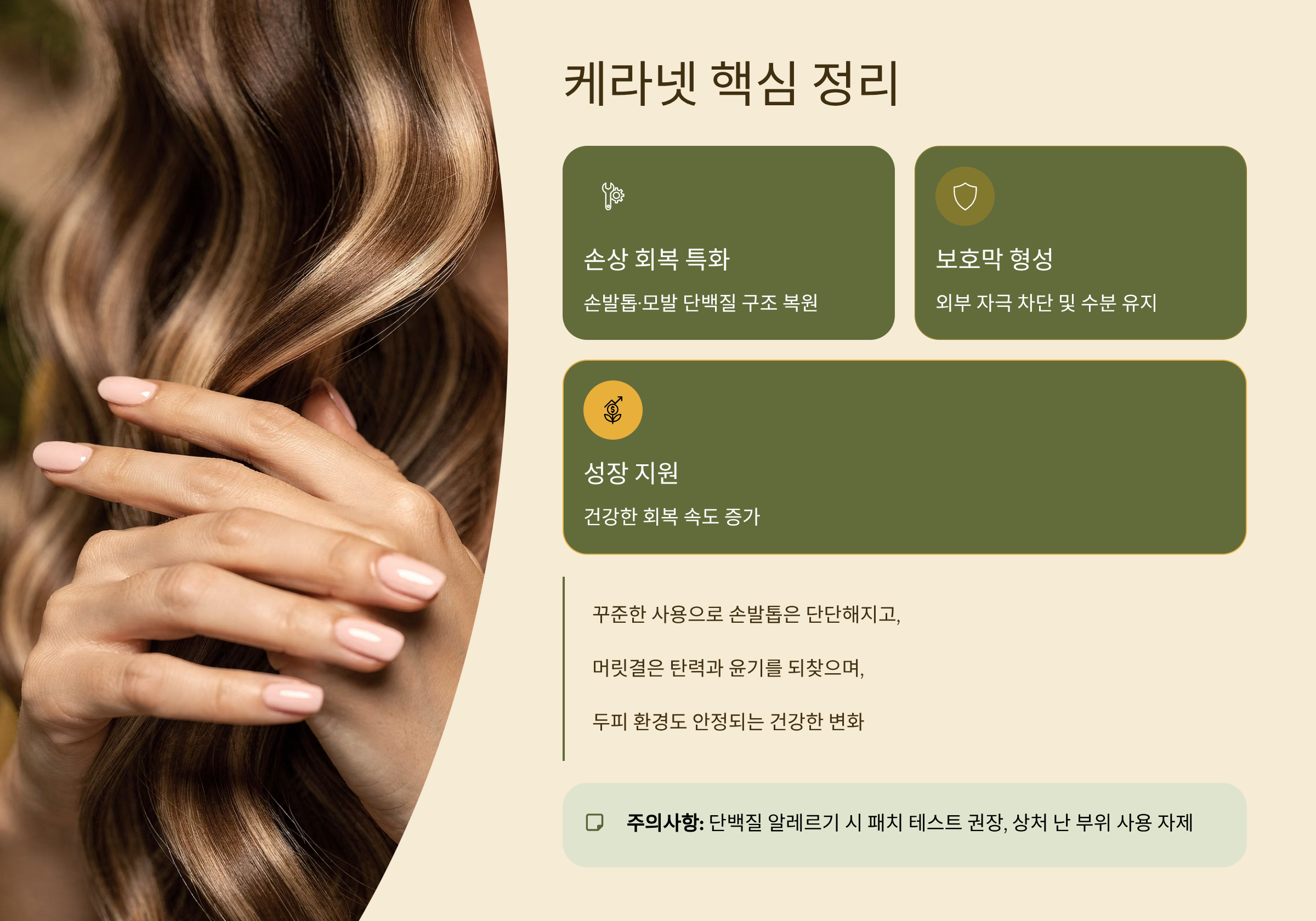 케라넷 핵심정리