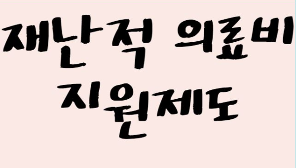 재난적의료비 지원 국가지원금