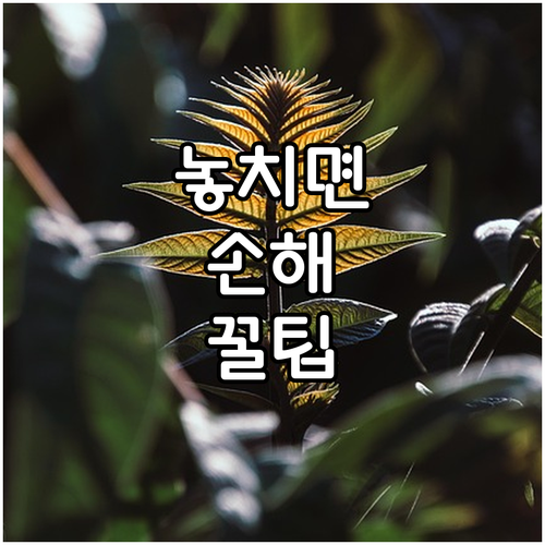 은평구 대형폐기물 버릴 때, 이것 모..