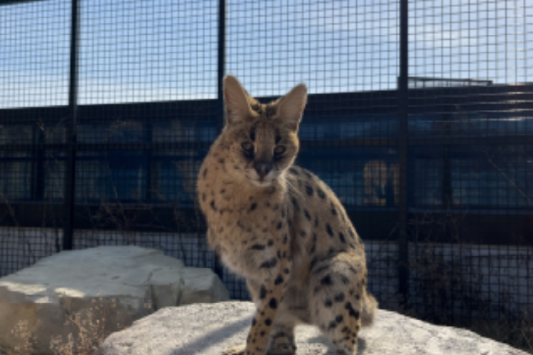 아라마루 아쿠아리움