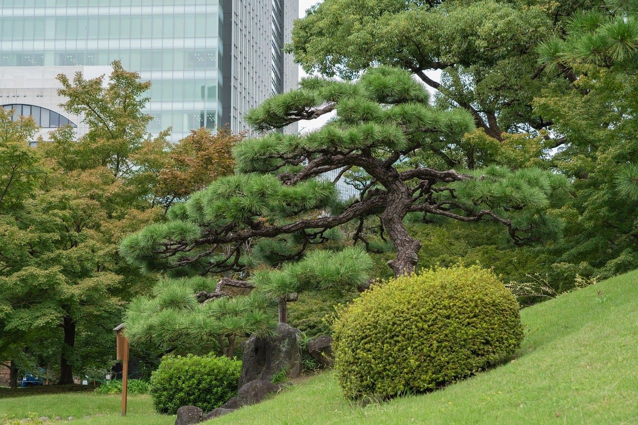 생물 다양성과 미세기후는 어떤 관계에 있을까?