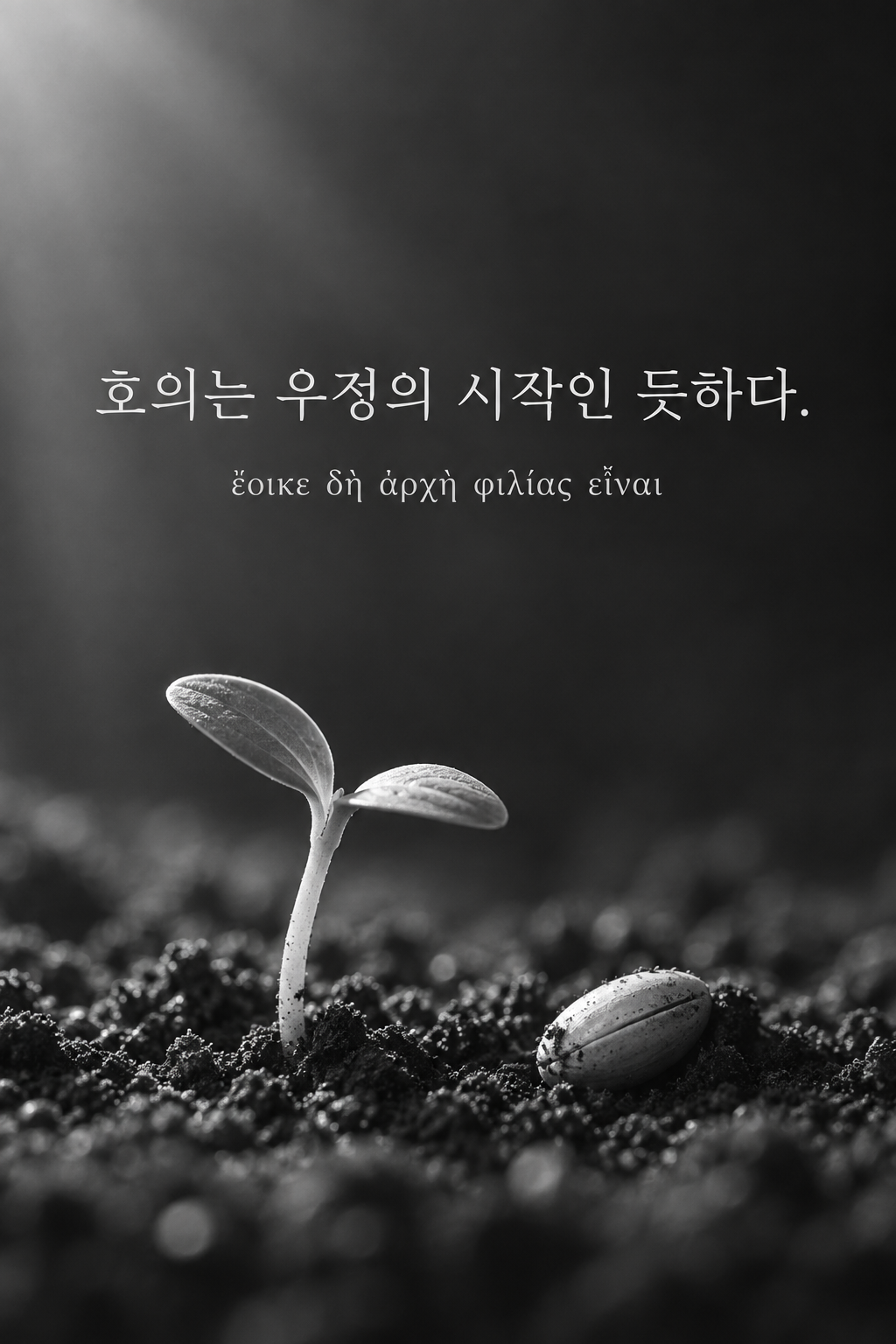 아리스토텔레스 명언 29 — 호의는 우정의 시작인 듯하다. — 흑백사진