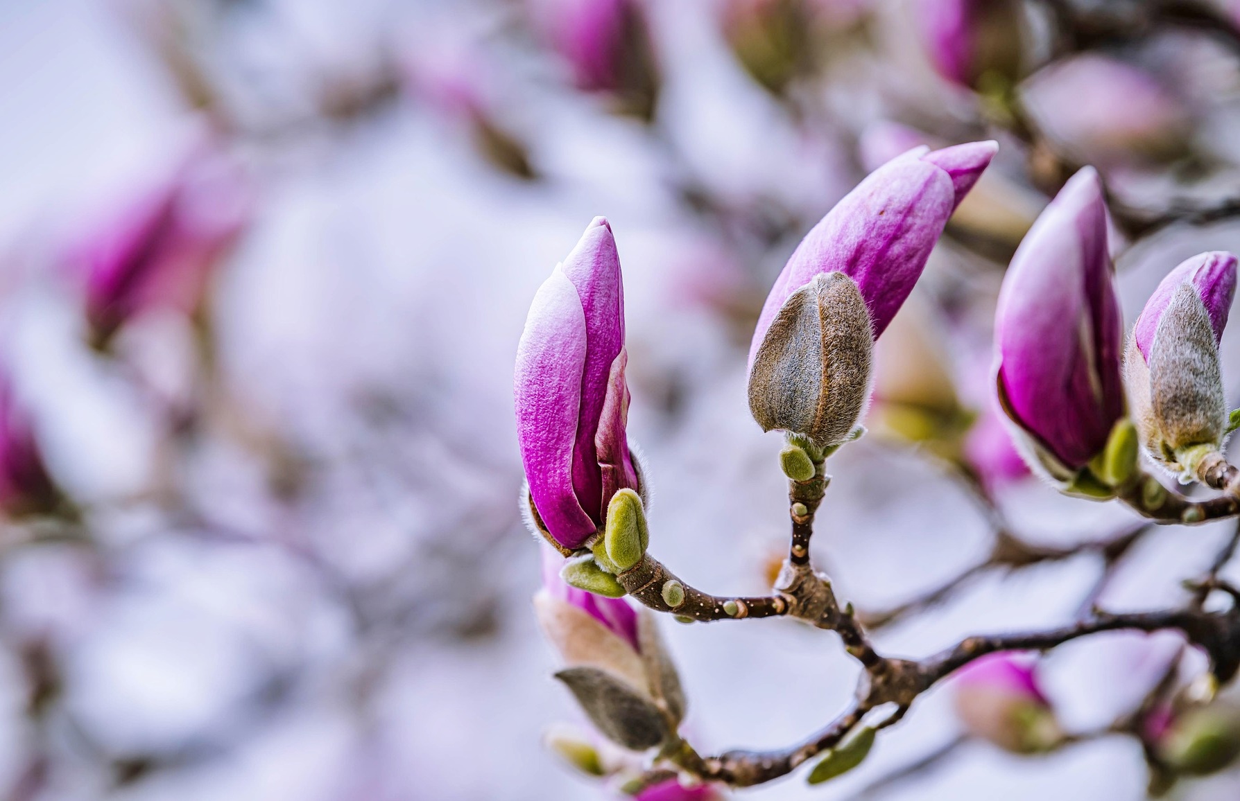 은퇴 후 지출이 무너지는 순간, 월수입 관리가 실패하는 이유!