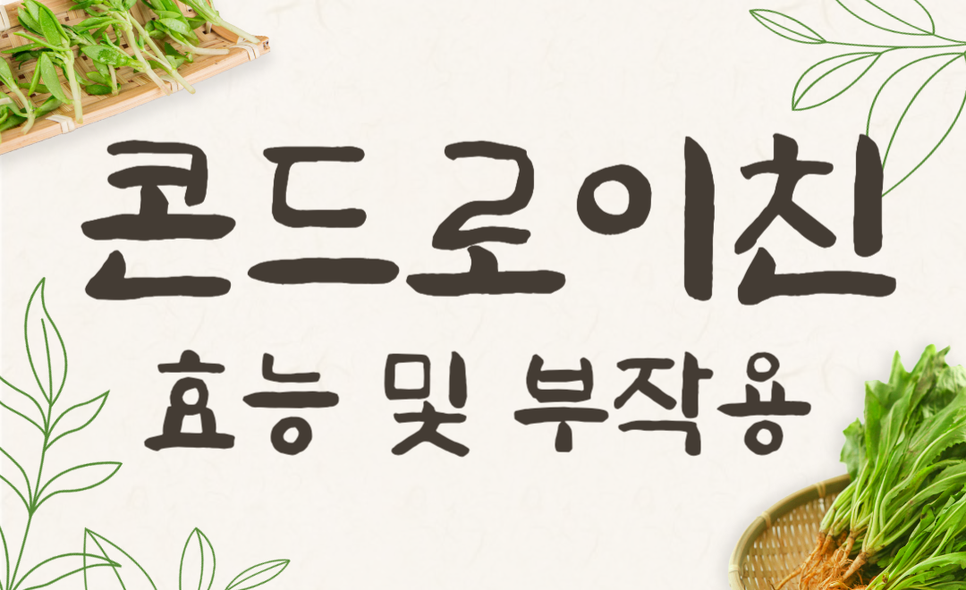 콘드로이친 1200 vs 1500 관절 영양제