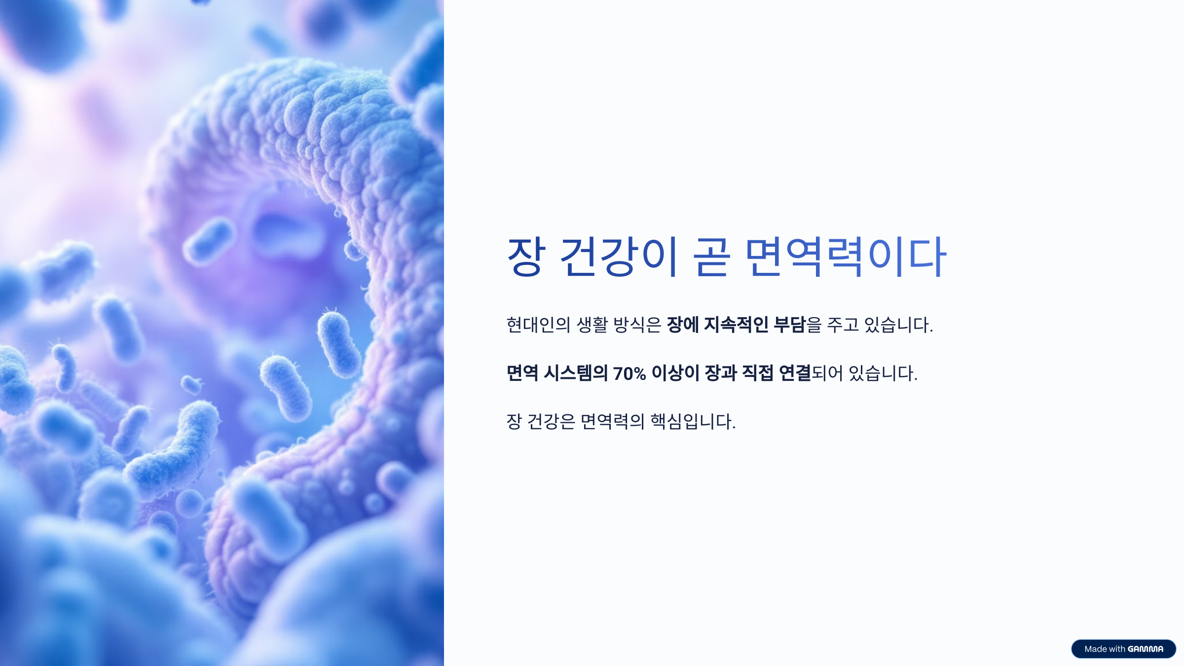 유산균과 식이섬유 이야기