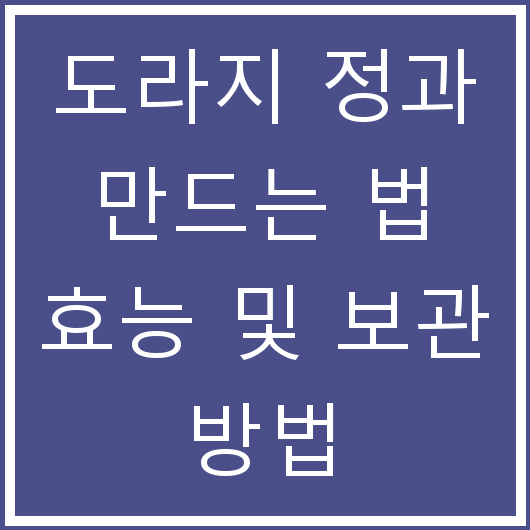 도라지 정과 만드는 법 효능 및 보관 방법