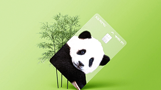 (푸바오 에디션)이란?