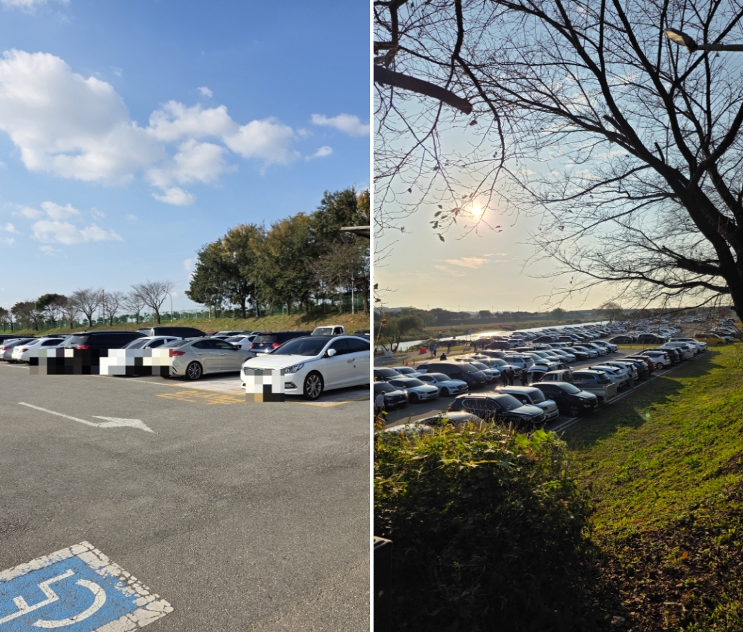 진위천 유원지 (버블쇼와 레일바이크)