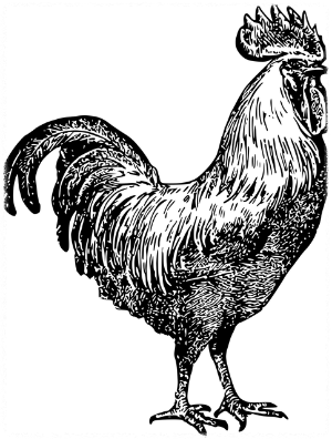 10월 띠별 운세 이달의 운세 월간운세 별자리운세