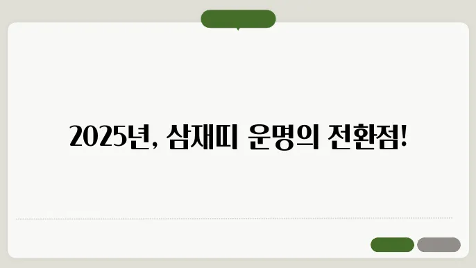 2025년 삼재띠 알아보기