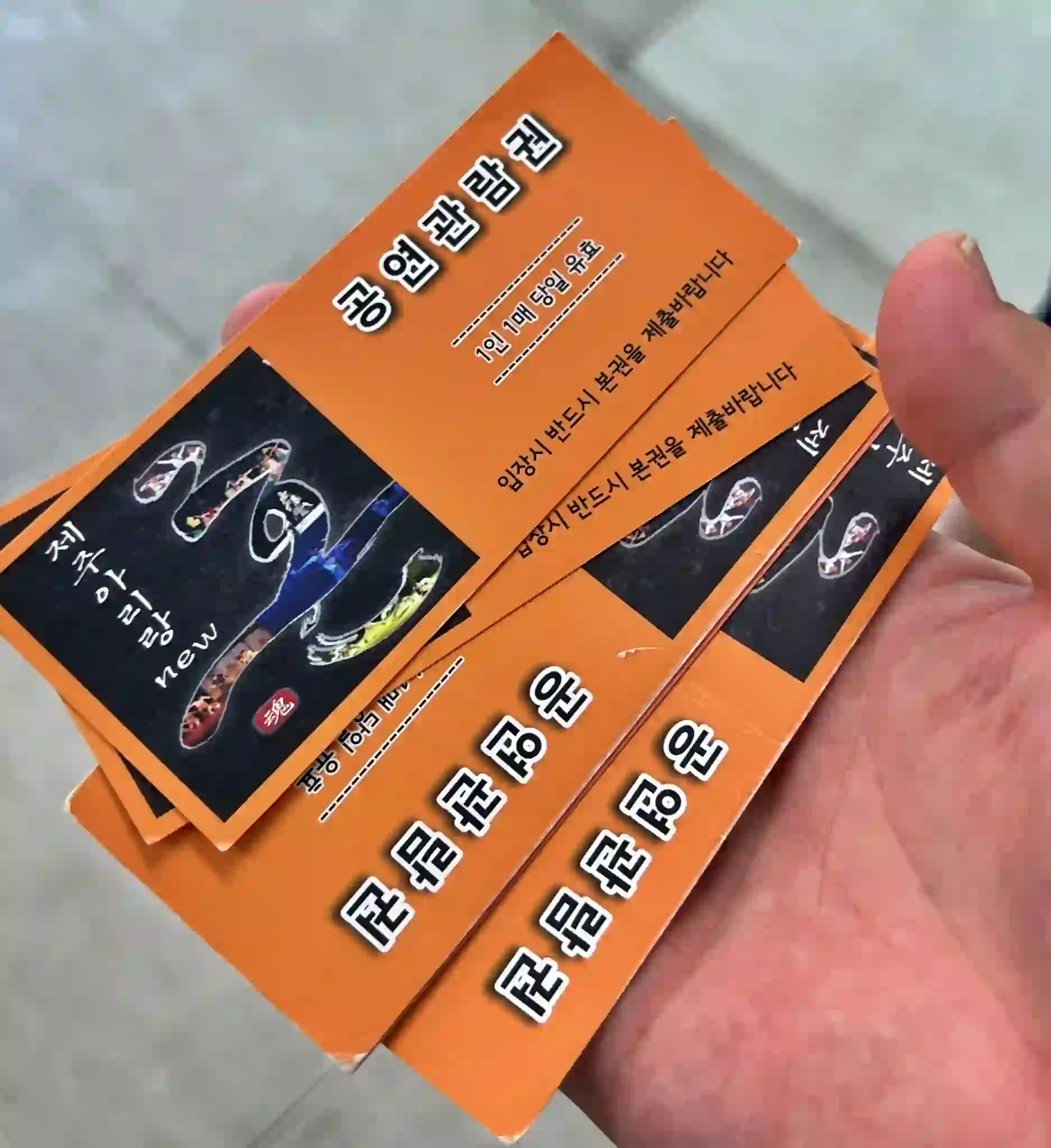 아리랑 혼 공연 관람권 사진 입니다. 입장시 제출해야 합니다.