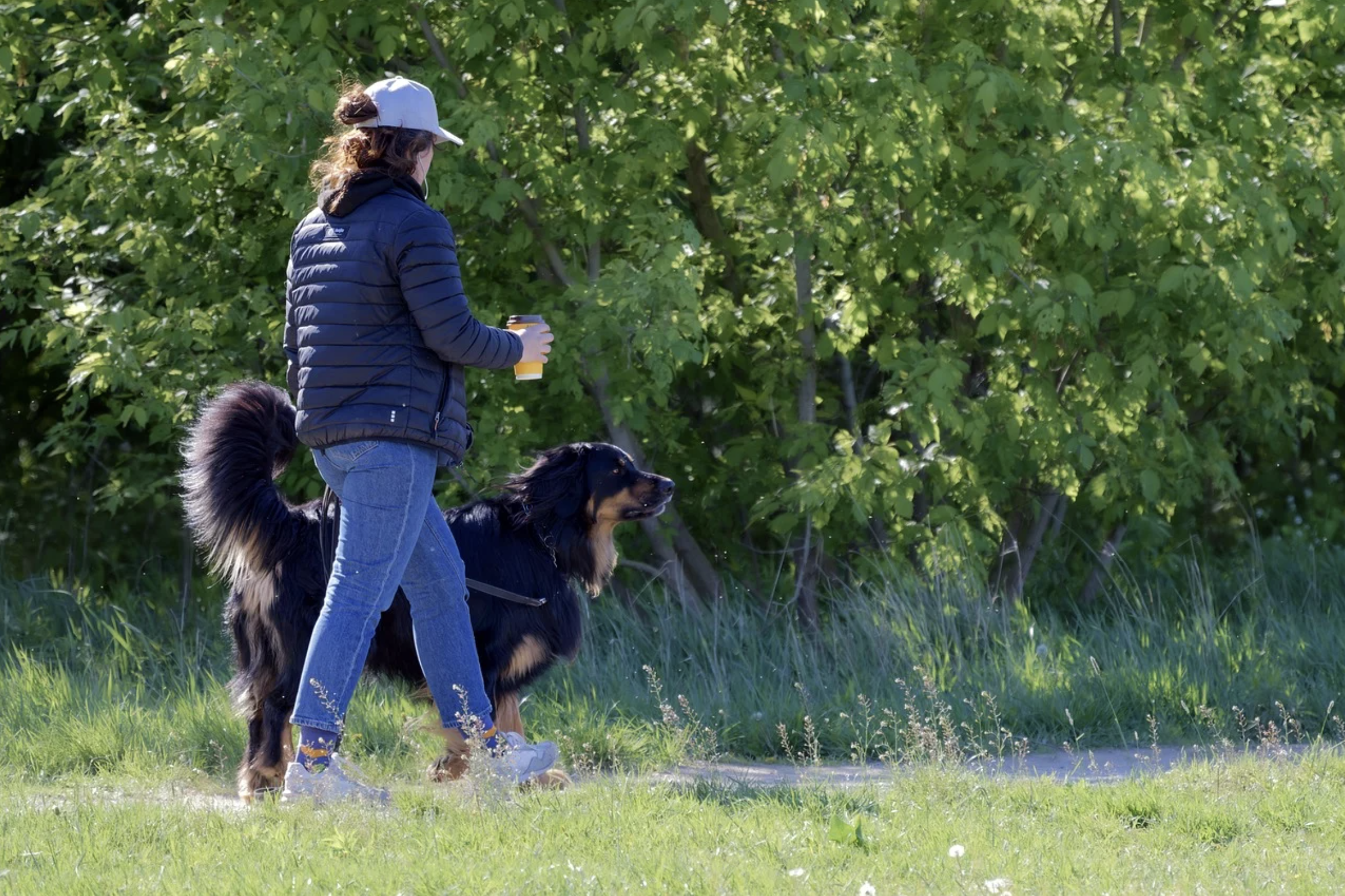 집에서도 가능한 반려동물 돌봄 서비스“펫시팅과 산책대행으로 월 50만 원, 나도 할 수 있을까?”