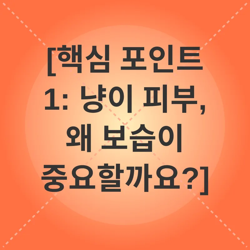 고양이 피부 보습_1