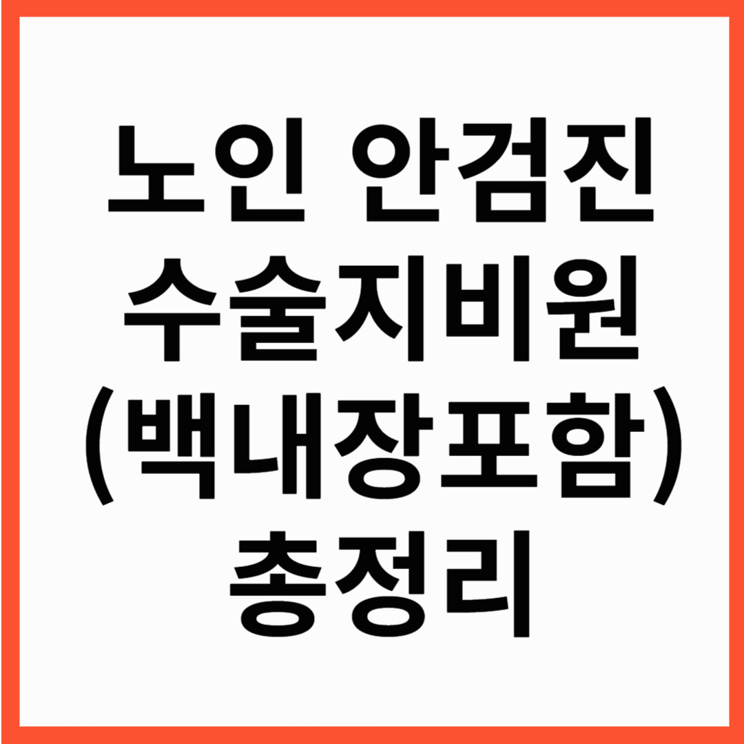 백내장수술비지원 ,노인안검진 및 개안수술 지원방법,대상자 총정리