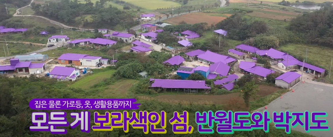 가을 꽃축제 - 10월 꽃축제 퍼플섬 입장료, 입장시간, 퍼플교