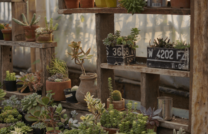 소형 원예 아이디어, 카페 미니정원