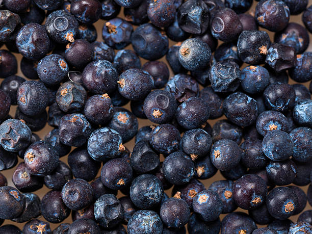 주니퍼베리 효능