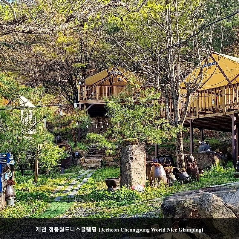 제천 청풍월드니스글램핑 (Jecheon Cheongpung World Nice Glamping)_3
