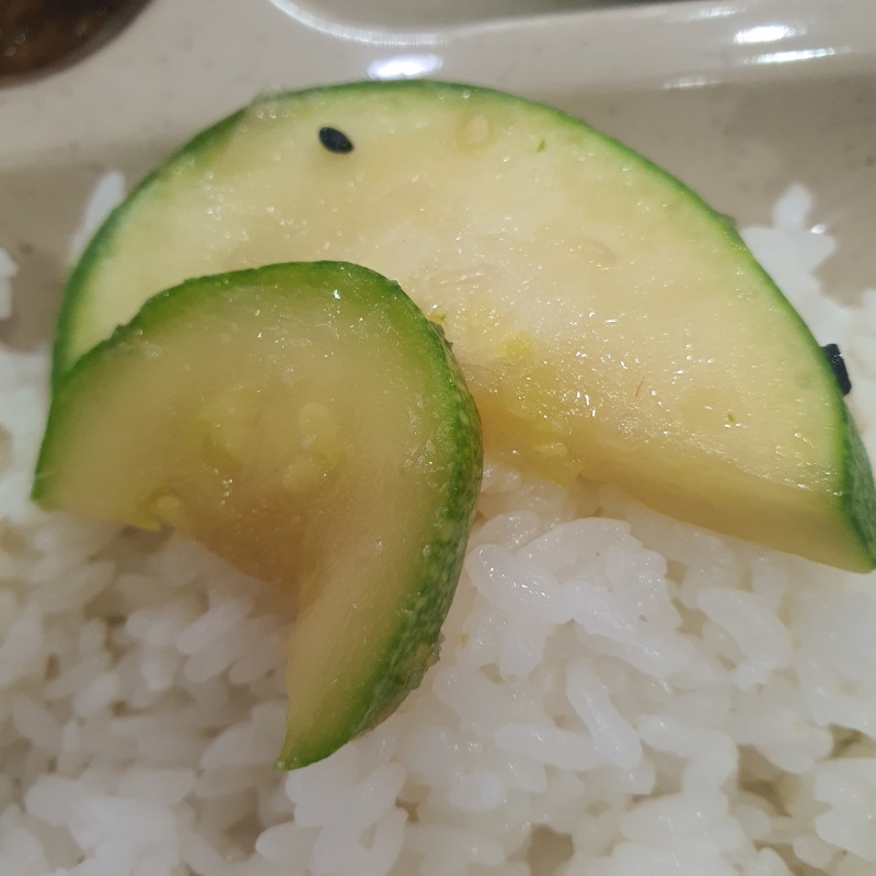 쌀밥위에-올라간-애호박