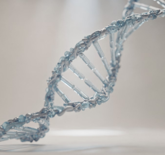 퇴행성 관절염 증상