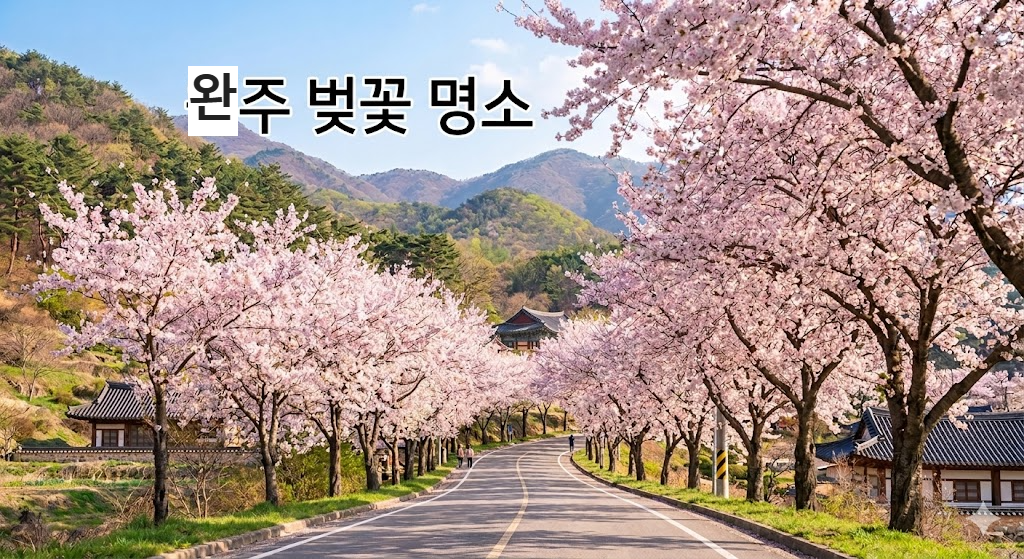 완주 벚꽃 명소