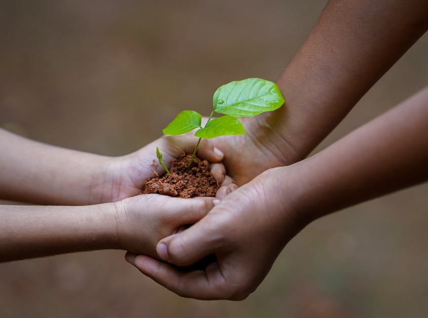 2024 연말정산 기부금 한도 계산법 공제 받는 방법 총정리