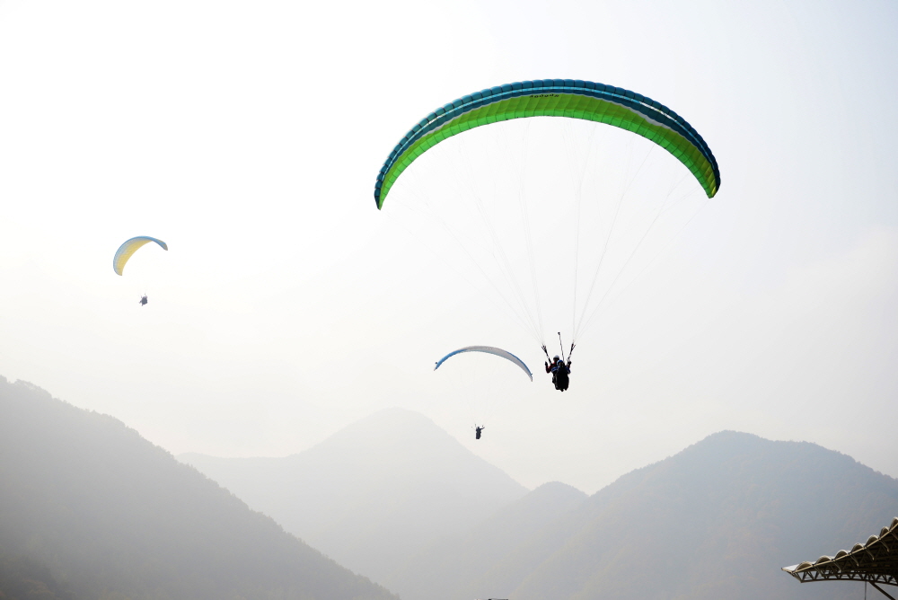 단양 패러글라이딩