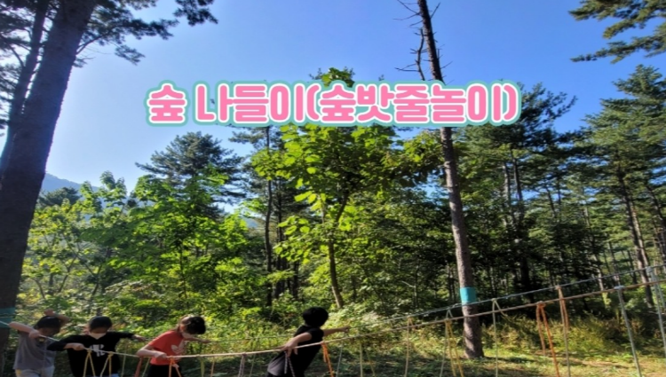 국립 춘천 숲체원