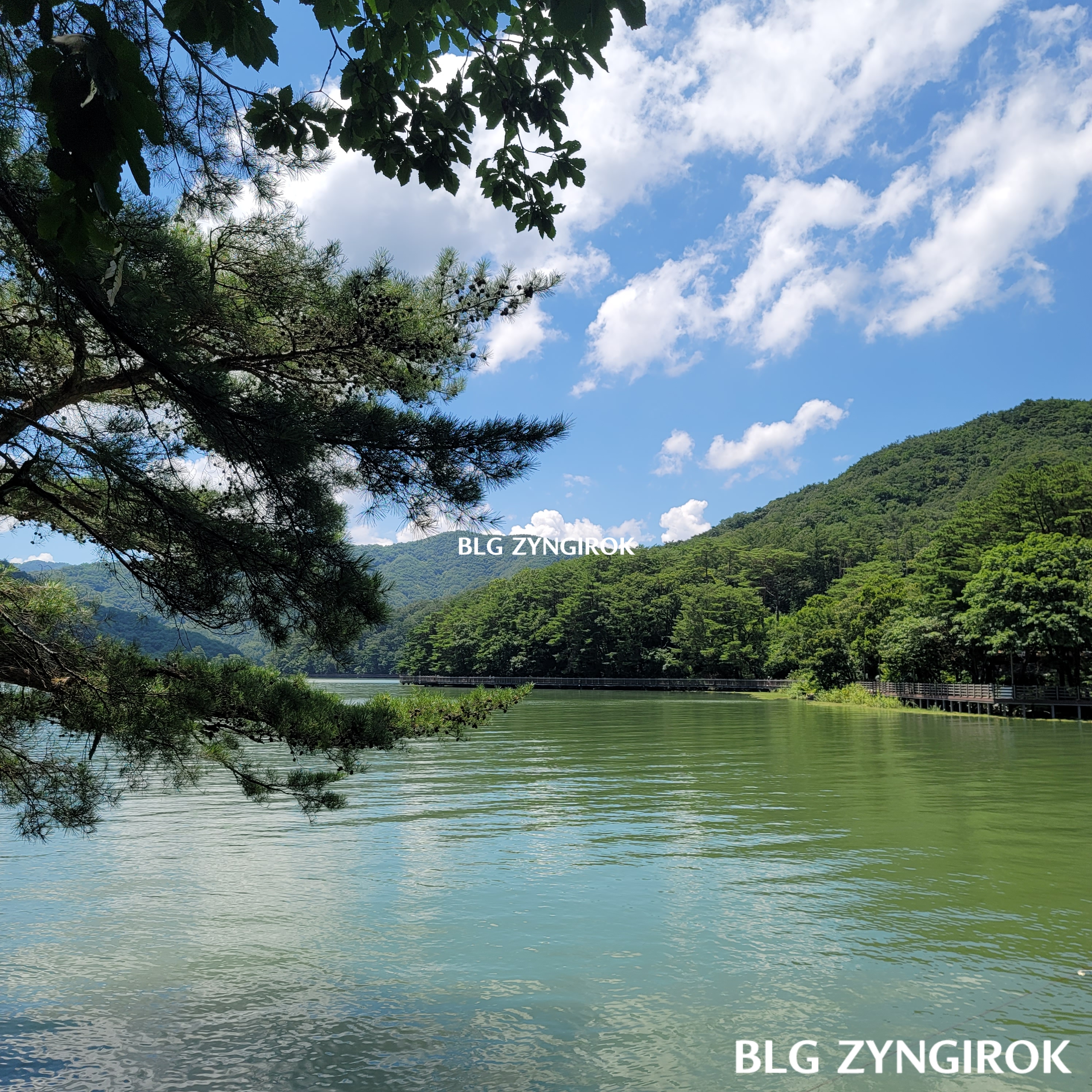 산정호수-수변코스의-큰-소나무와 풍경이다.