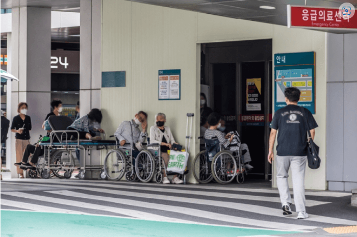 2024 공휴일 주말 24시 병의원 약국 응급실 동물병원 정보 찾기 당직병원 진료 의료 본인부담금 비용 안내 서울 경기도 인천 대전 부산 대구 광주 울산 용인 수원 고양시 화성 평택 파주 성남 