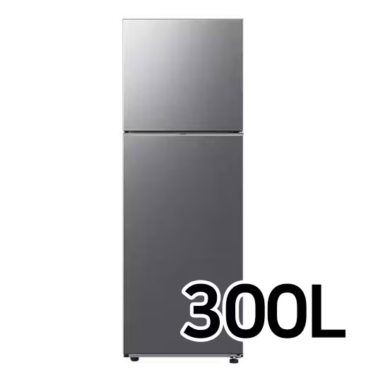 삼성 일반형 냉장고 2도어 1등급 300L