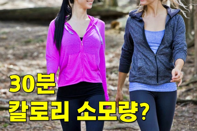 300칼로리 운동 걷기 운동효과 칼로리 소모량 지방 태우는 운동, 다이어트 건강 팁줌 매일꿀정보