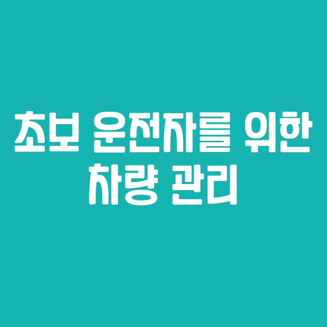 초보 운전자를 위한 차량 관리