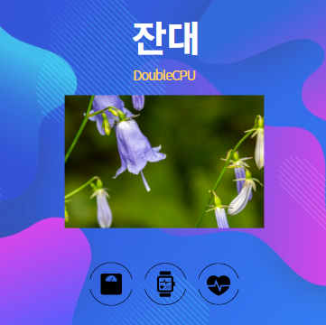 잔대 알아보기