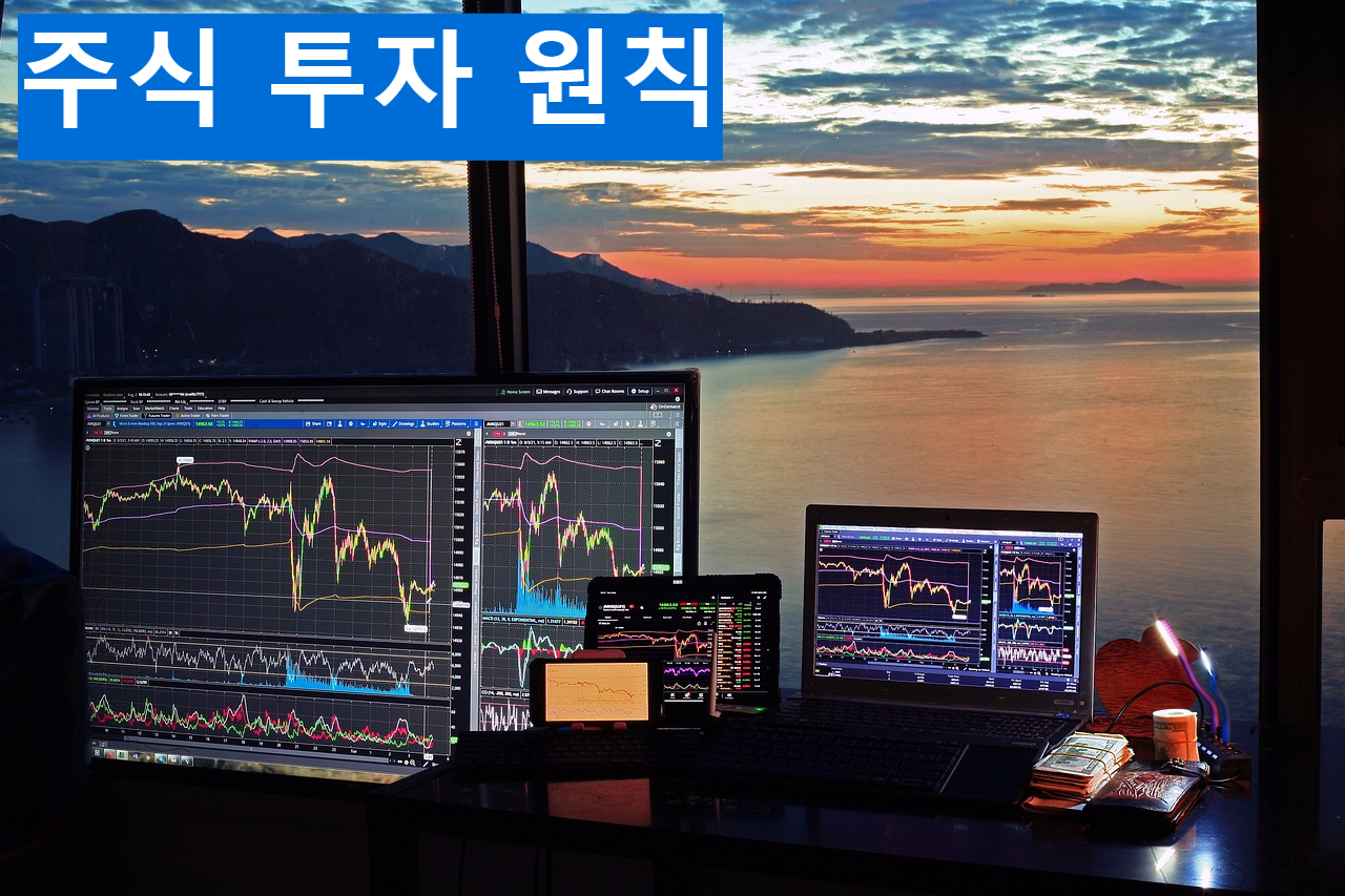 주식 투자 원칙