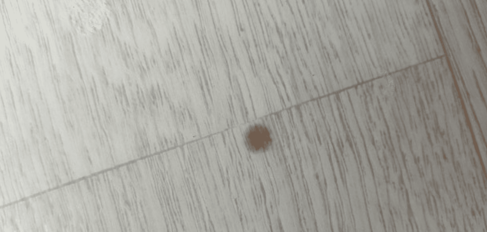 장판-바닥-염색약