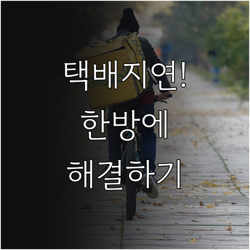 CJ대한통운 택배 지연 해결을 위한 ..