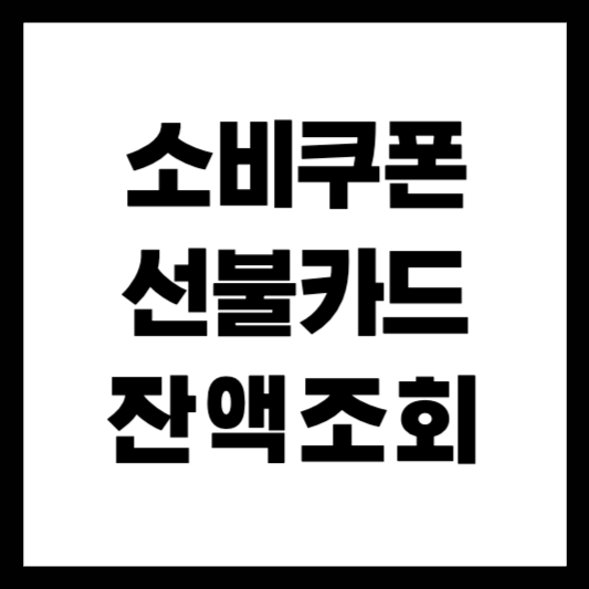 소비쿠폰선불카드잔액조회