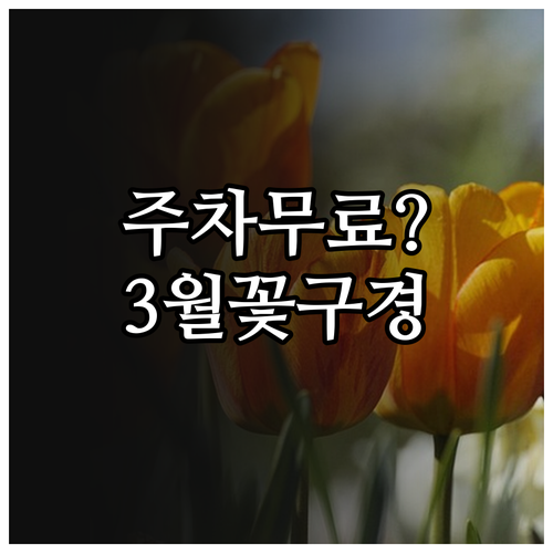 화명생태공원 주차 요금 및 3월 꽃구..