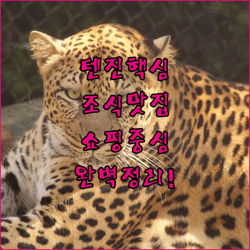 조식 맛집과 쇼핑 중심지까지 섭렵한 ..