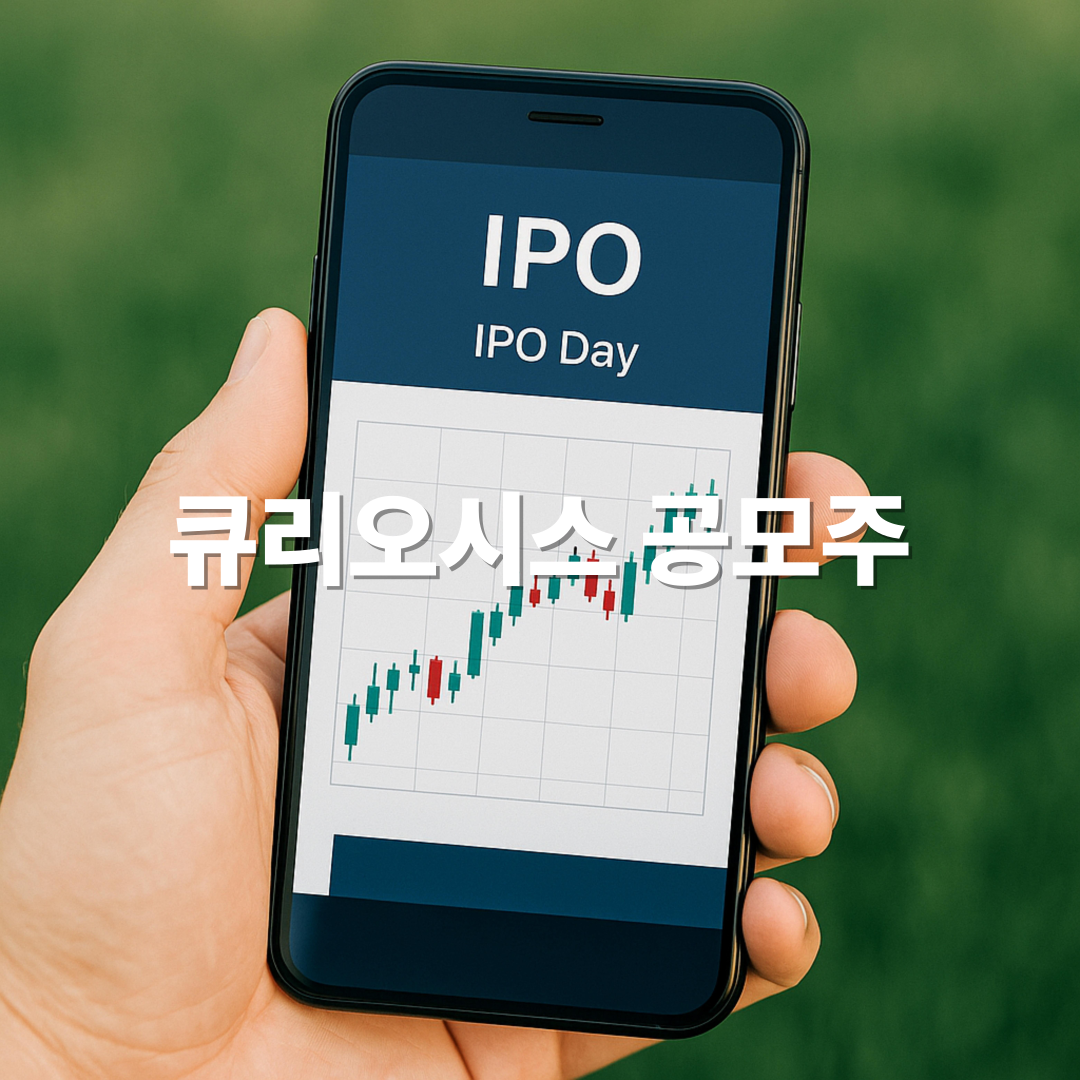 큐리오시스 공모주 소식