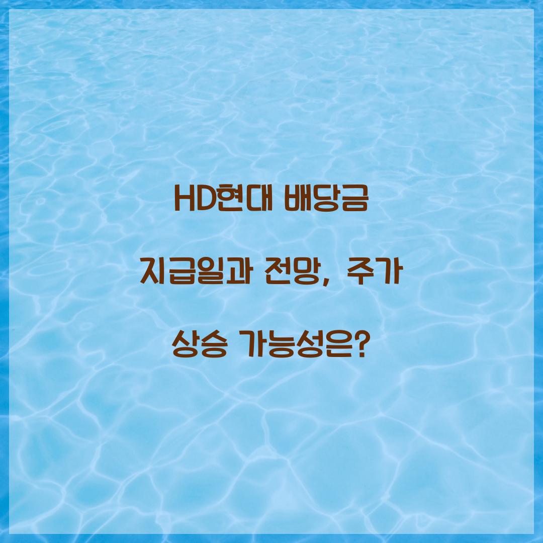HD현대 배당금 지급일